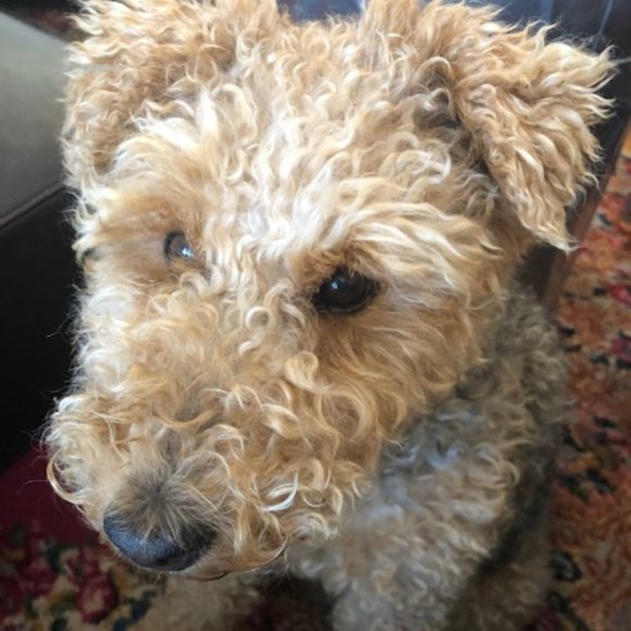 Meet your Posher, Kim - Picture 1 of 1